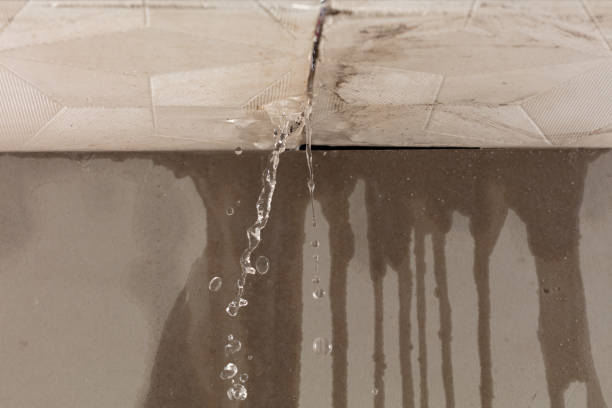 Professional Commercial Water Damage Restoration technician working in Thrall, TX